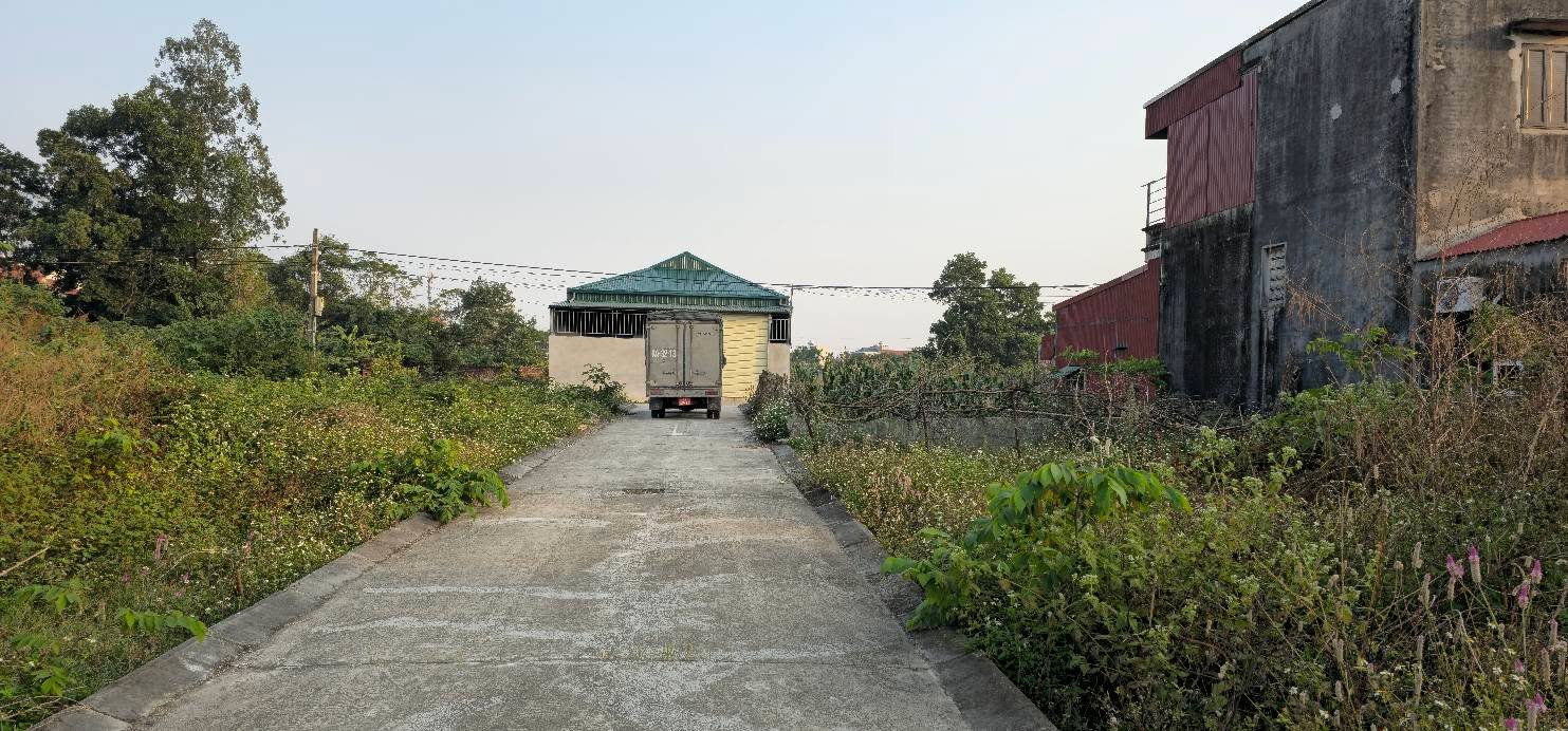 Đất nền phân lô Phù Linh Sóc Sơn 60m² chỉ 1.6 tỷ - Sổ hồng chính chủ!