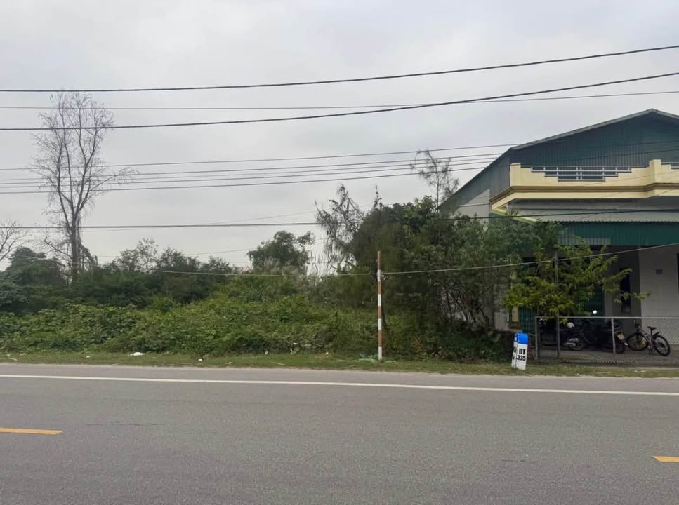 Đất mặt tiền 12,5m tại phường Móng Cái 1, diện tích 237m² - Đầu tư sinh lời hấp dẫn!