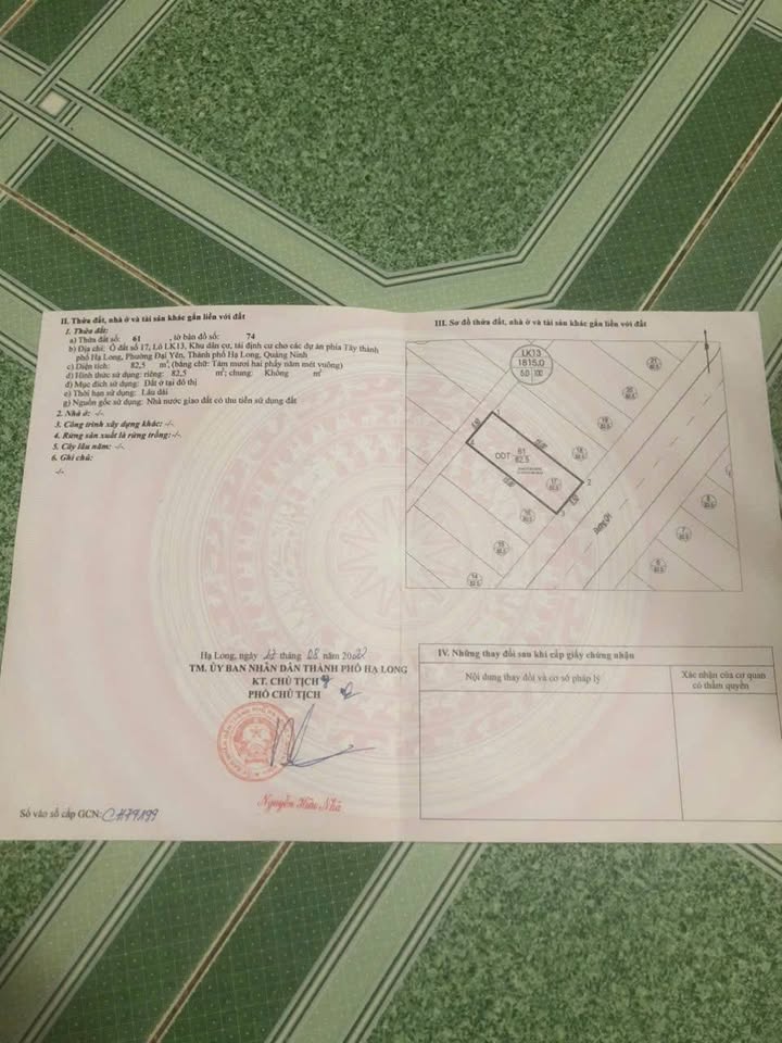 Đất nền dự án TĐC Đại Yên Hạ Long 82.5m² giá chỉ 2 tỷ - Đầu tư sinh lời ngay!