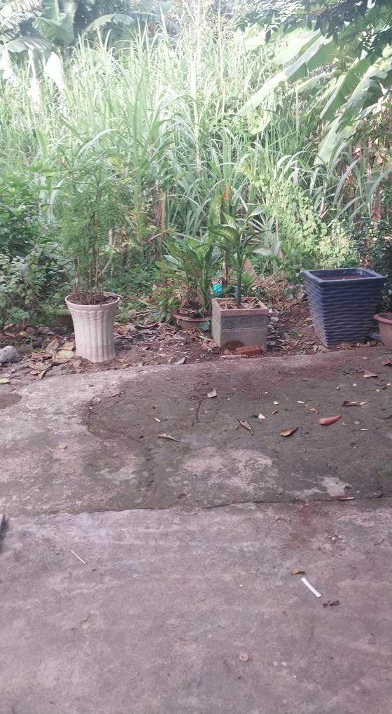 Đất nền khu phố 1, phường Long Bình, Biên Hòa 65m² giá 750 triệu - Cơ hội đầu tư hấp dẫn!