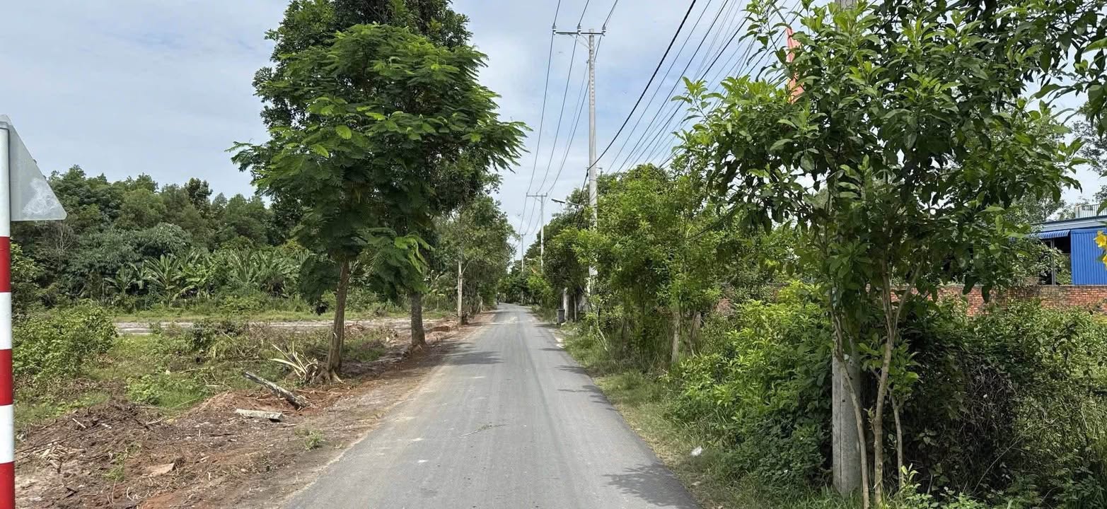 Đất nền mặt tiền nhựa Lộc An, 110m² giá 2 tỷ - Đầu tư sinh lời ngay!