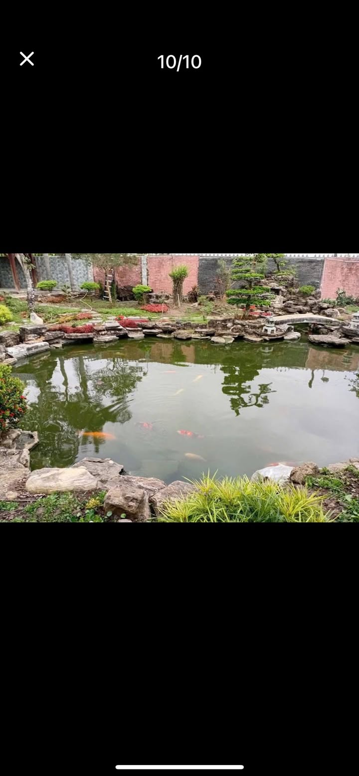 Đất vườn mặt tiền Nhơn Thạnh Trung - TP. Tân An, 1500m² giá 5.5 tỷ - Cơ hội đầu tư tuyệt vời!