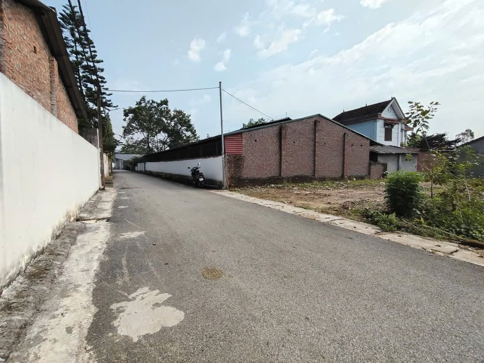 Đất thổ cư chính chủ tại Thanh Vân, Tam Dương, 159.9m² - Cơ hội đầu tư lý tưởng!