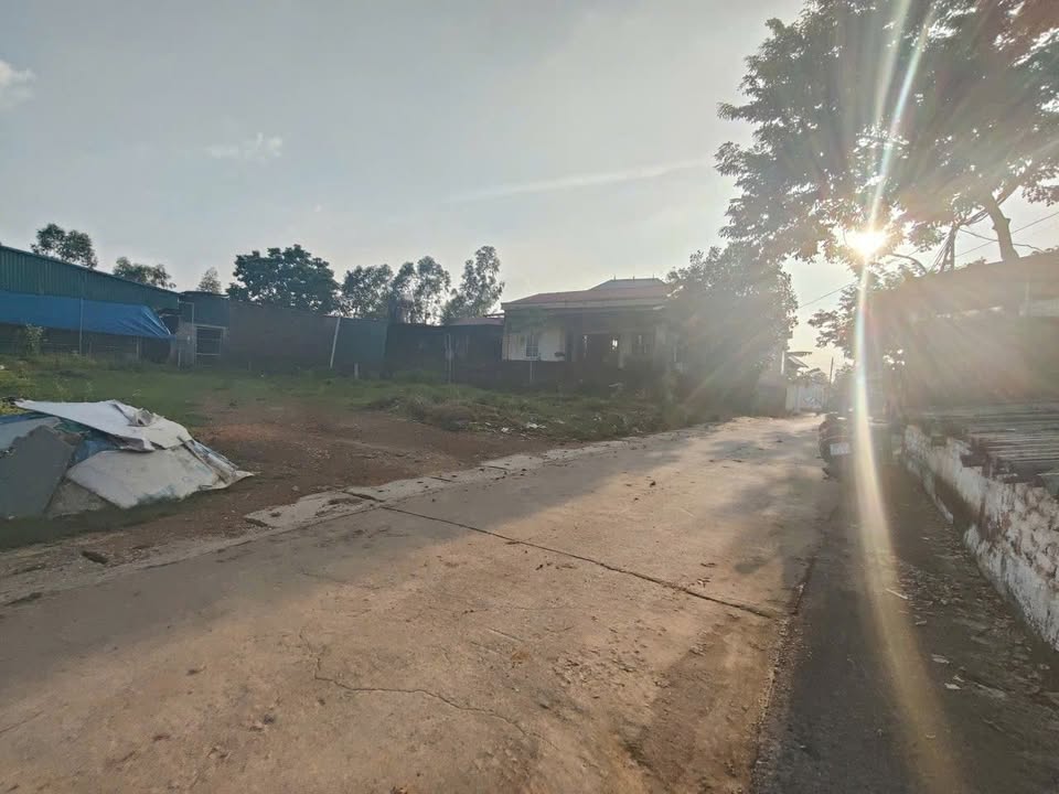 Đất thổ cư Thanh Vân, Tam Dương 121m² giá 1.3 tỷ - Đường rộng ô tô tránh nhau!