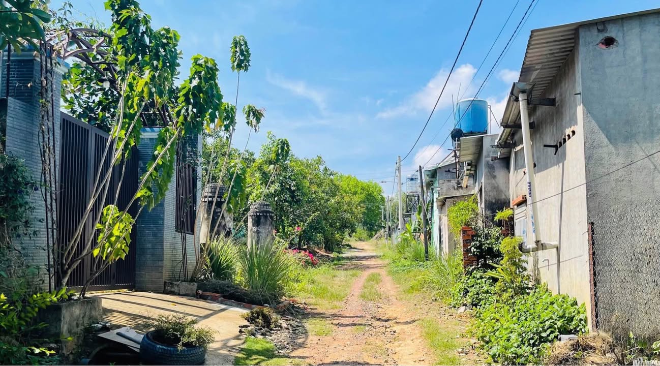 Đất nền Tân Đồng, Đồng Xoài 175m² - Đường Bùi Thị Xuân, giá thỏa thuận!