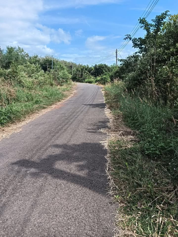 Đất thổ cư 200m² tại ấp 3, xã Thanh Hoà, giá 600 triệu - Cơ hội đầu tư lý tưởng!