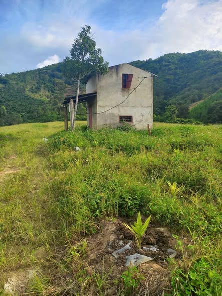 Đất Farm Dray Bhăng 1,35ha giá chỉ 5.58 tỷ - Đầu tư sinh lời ngay!