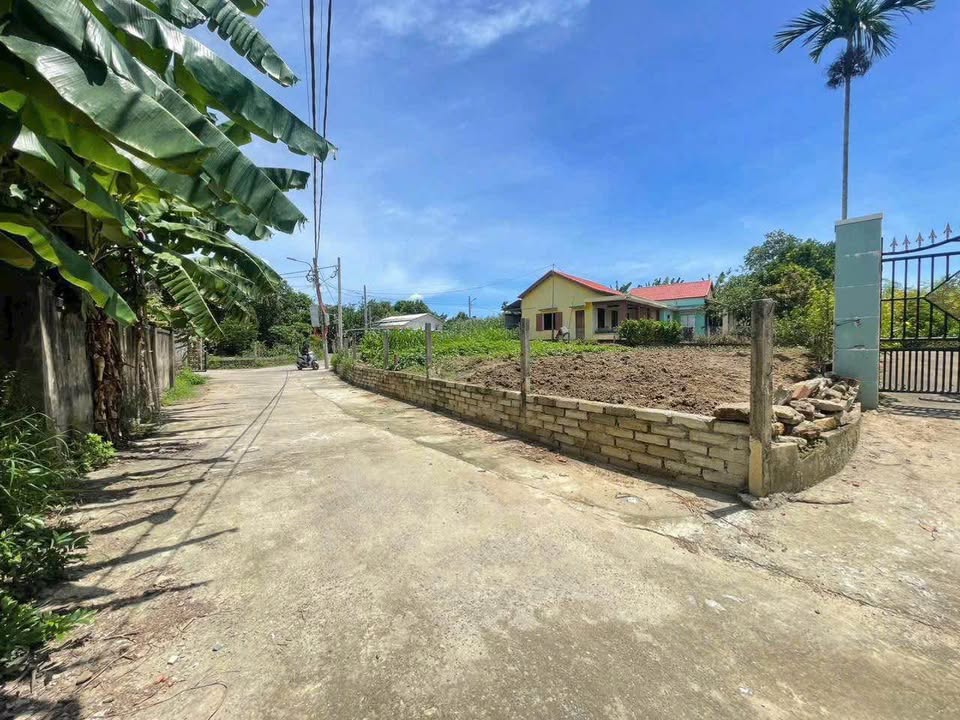 Đất nền Thôn Thái Lai - Xã Hòa Nhơn 123m² giá 990 triệu - Đầu tư sinh lời ngay!