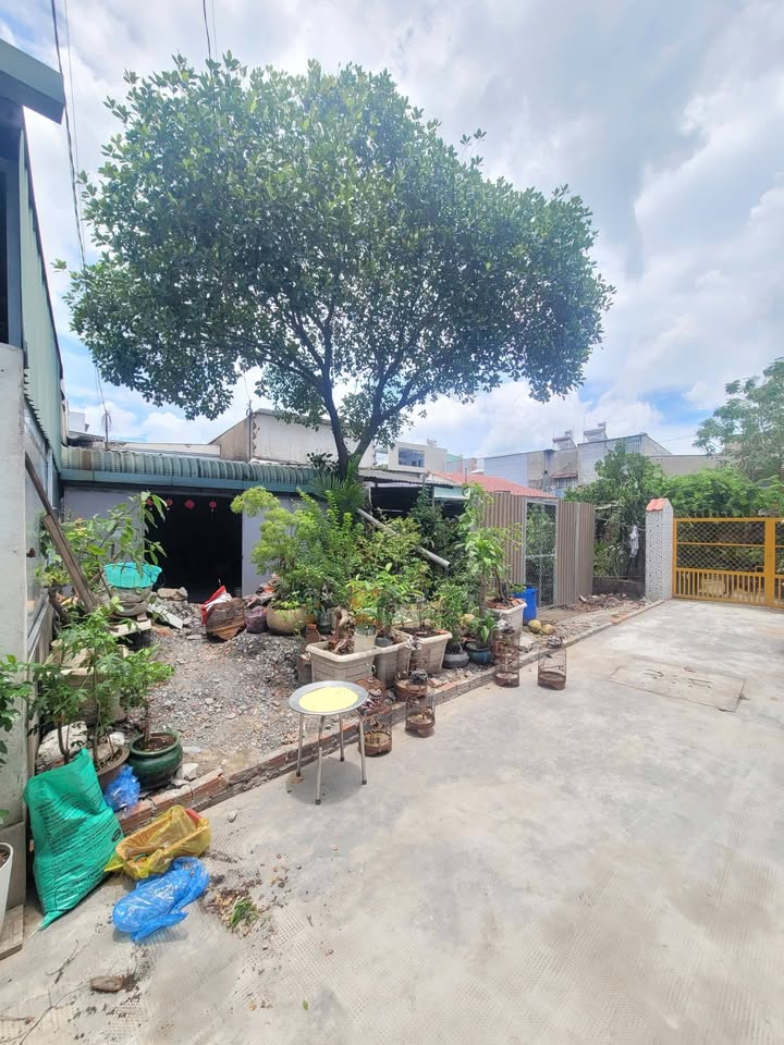 Đất nền 106m² Tân Đông Hiệp, giá 3.2 tỷ - Sổ hồng riêng, xây dựng tự do!