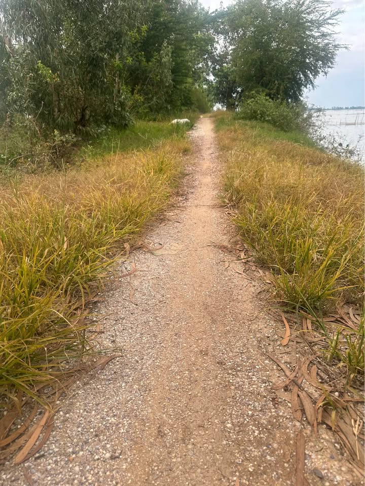 Đất ruộng 2 mặt tiền Tân Công Sính 108.000m² giá 3.84 tỷ - Cơ hội đầu tư hấp dẫn!