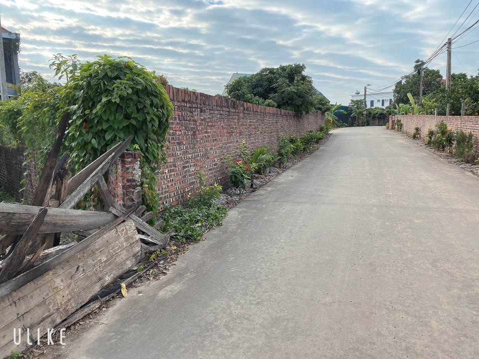 Đất nền Hợp Đức Tân Yên 133m² giá chỉ 700 triệu - Đường to rộng 8m!