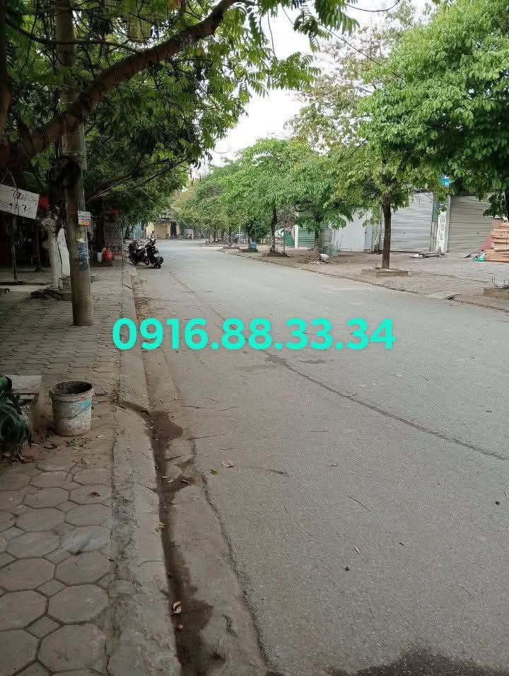 Đất nền dự án Quỳnh Đô Thanh Trì 80m² giá 16 tỷ - Vị trí kinh doanh đắc địa!