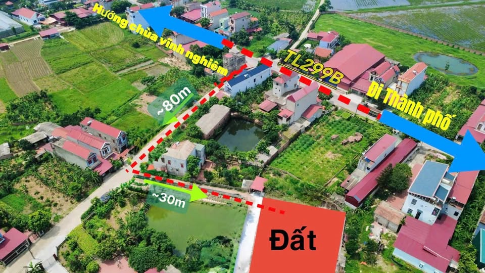 Đất nền Tân An Bắc Giang 160m² giá chỉ 800 triệu - Cơ hội đầu tư tuyệt vời!
