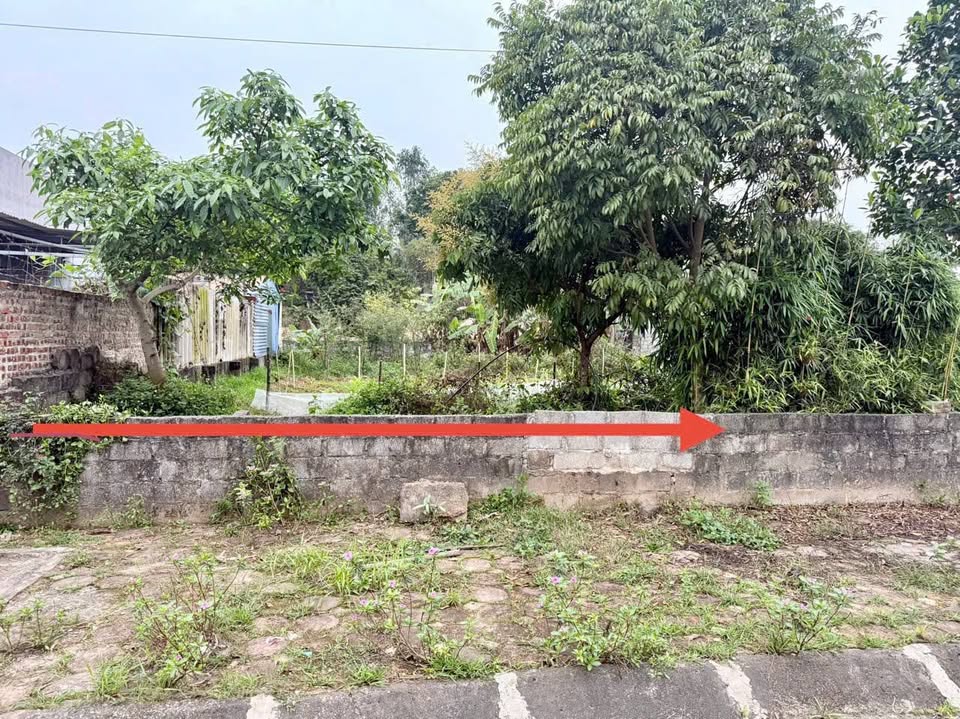 Đất tái định cư Lương Sơn - 90m² giá chỉ 1 tỷ - Cơ hội đầu tư tiềm năng!