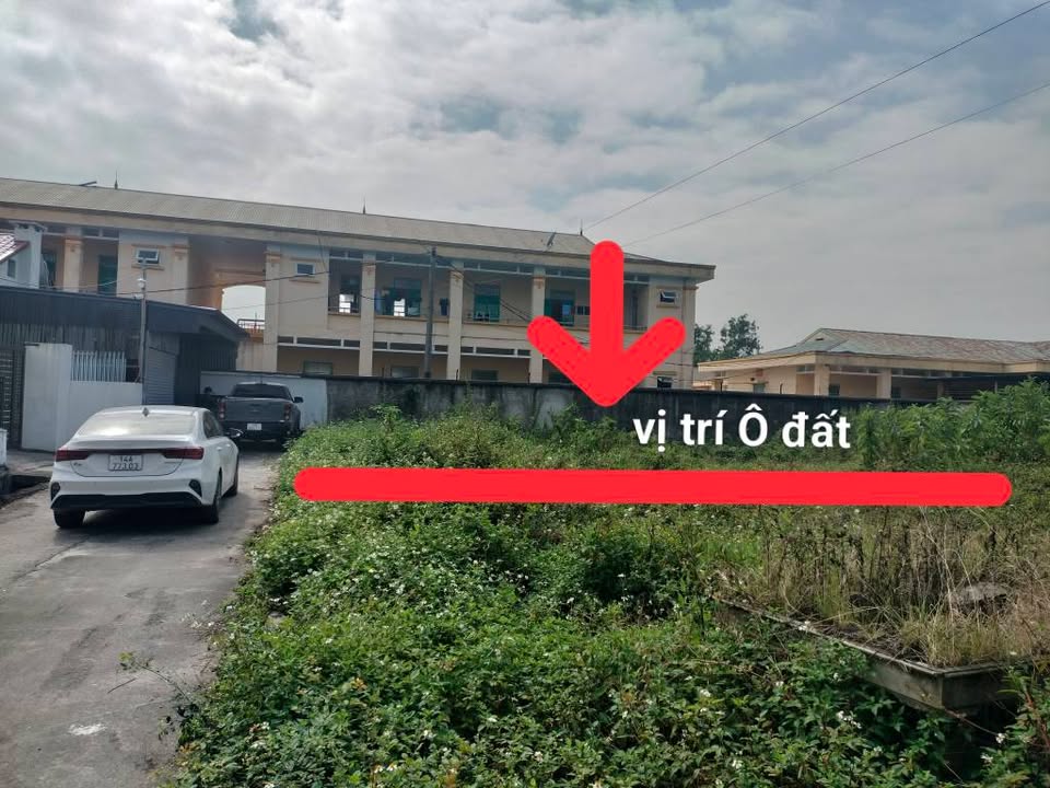 Đất nền Hoàng Quế, Đông Triều 134.9m² giá chỉ 6 triệu/m² - Đầu tư sinh lời ngay!