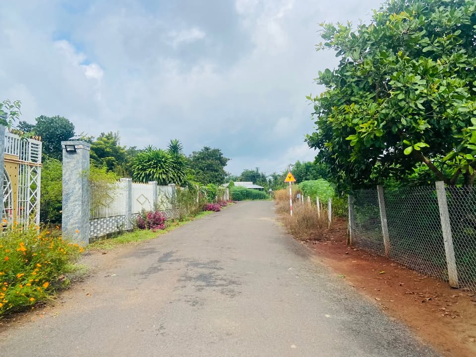 Đất nền Hòa Hội, Xuyên Mộc 6420m² giá 1.75 tỷ - Đầu tư sinh lời ngay!