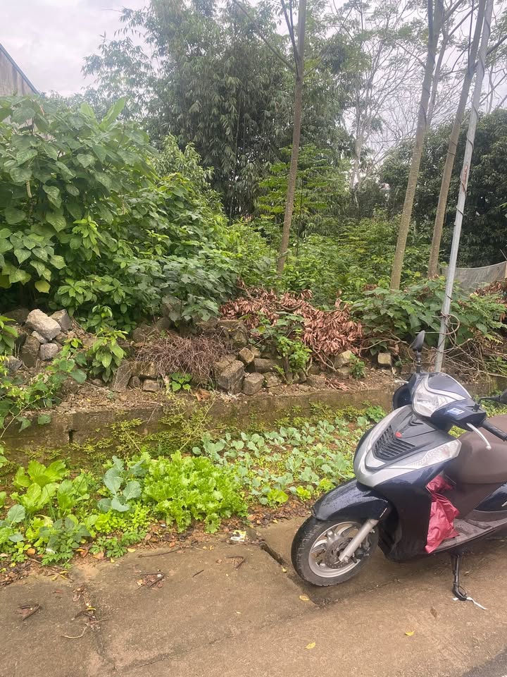 Đất nền kinh doanh tại khu phố 4, xã Hy Cương, 237.5m² - Đầu tư sinh lời ngay!