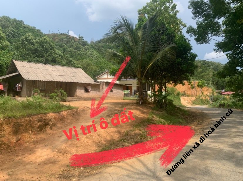 Đất nền Xuân Đài, Tân Sơn 419m² - Giá thỏa thuận, cơ hội đầu tư tốt!