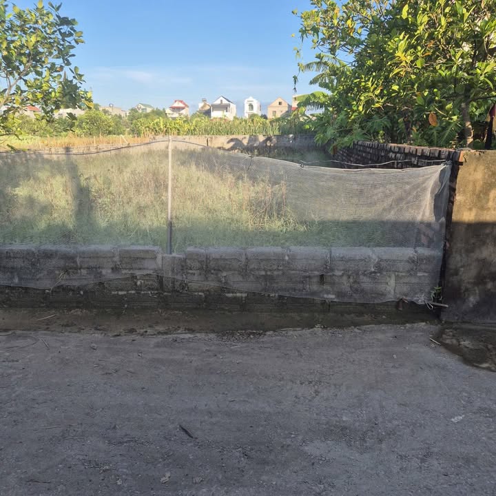 Đất thổ cư Khánh Hội 85m² giá 750 triệu - Chính chủ bán gấp!