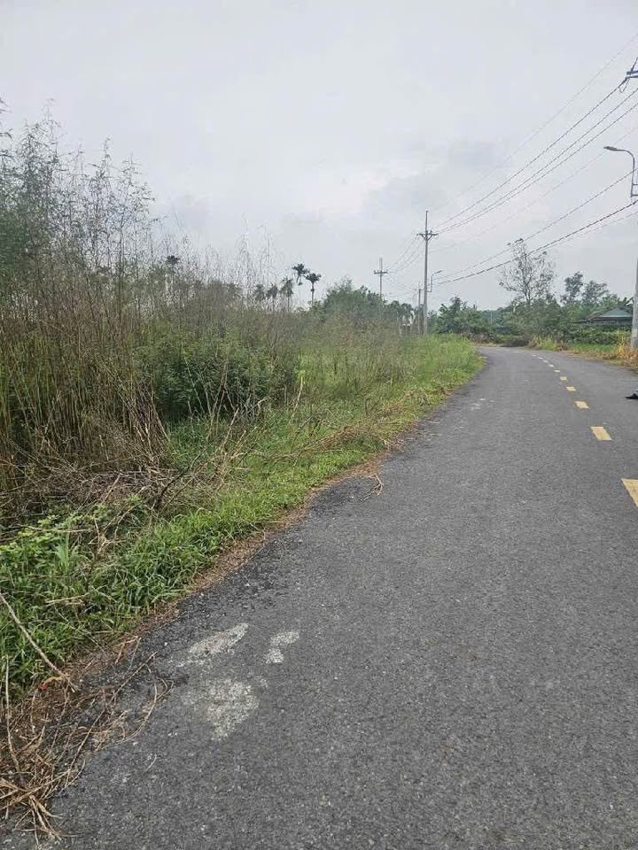 Đất nền 17500m² tại Củ Chi giá 50 tỷ - Pháp lý rõ ràng, đầu tư sinh lời!