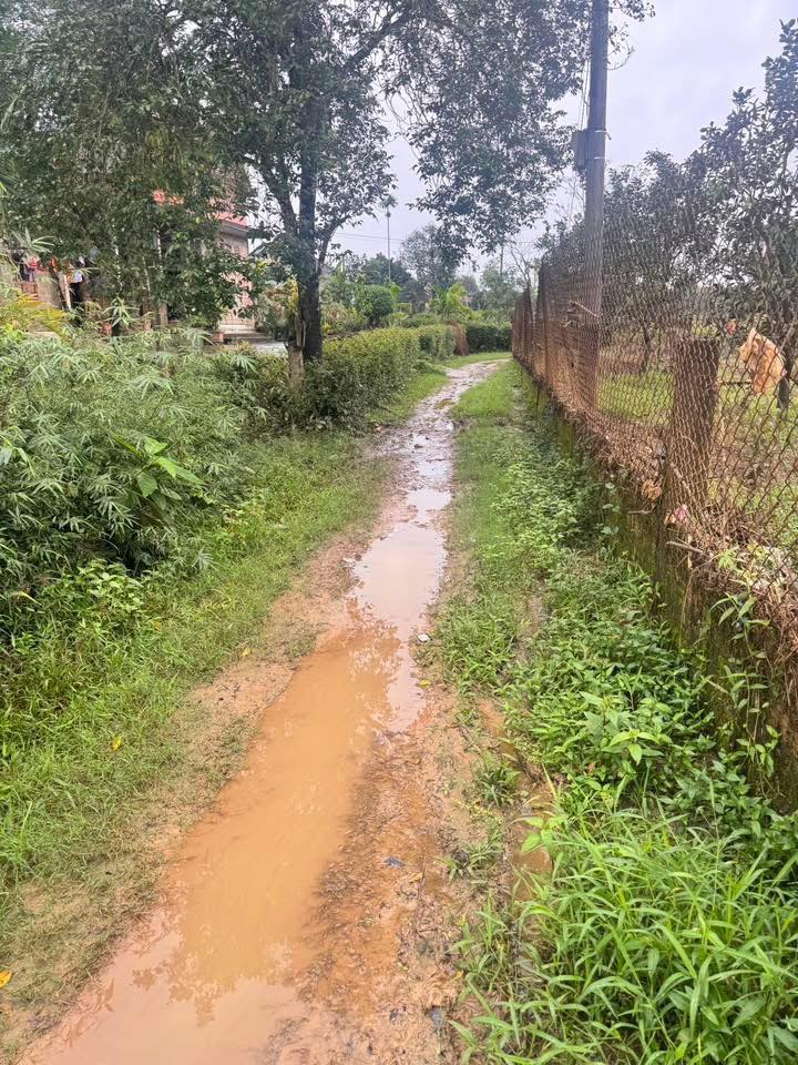 Đất nền Phong Thu, Phong Điền 466m² giá chỉ 500 triệu - Cơ hội đầu tư tốt!