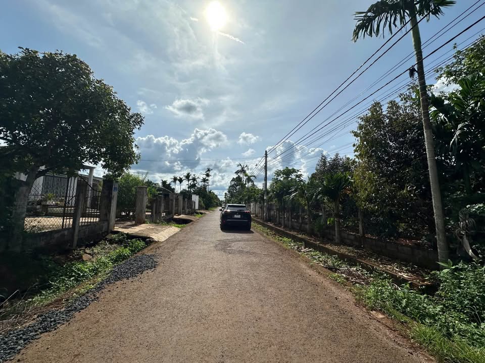 Bán đất mặt tiền phường Tân An, Buôn Ma Thuột, diện tích 725m² - Đầu tư sinh lời ngay!