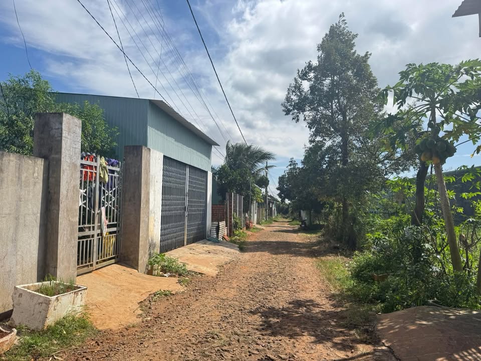 Đất nền Chư Sê Gia Lai 140m² giá 650 triệu - Nhanh tay sở hữu!