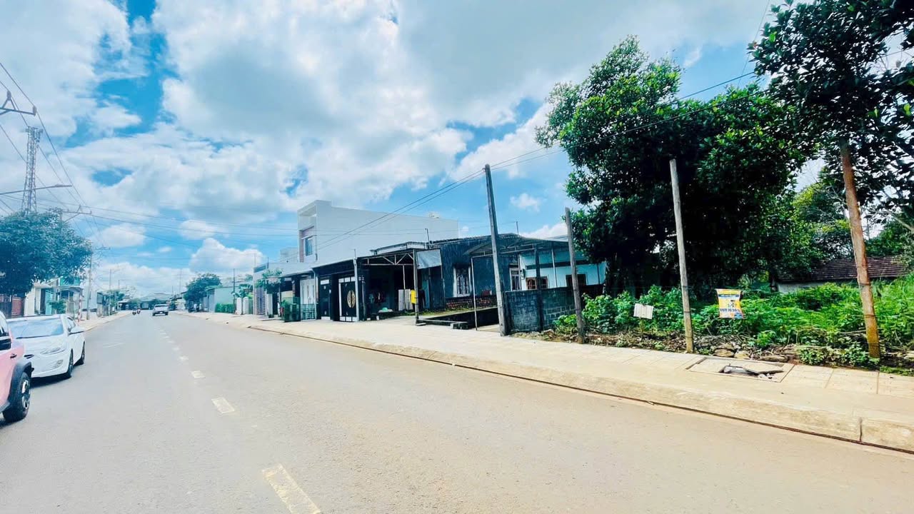 Đất mặt tiền Phạm Ngọc Thạch 1650m² giá 8 tỷ - Phù hợp xây biệt thự vườn!