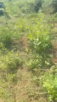 Đất nền Ia Pnôn, Đức Cơ, Gia Lai 1.4ha giá 780 triệu - Cơ hội đầu tư tuyệt vời!