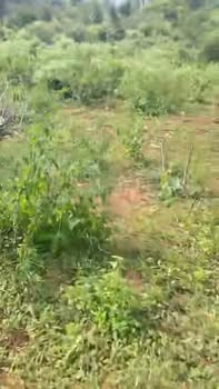 Đất nền xã Ia Pnôn, huyện Đức Cơ, 1,4ha giá chỉ 780 triệu - Cơ hội đầu tư hấp dẫn!