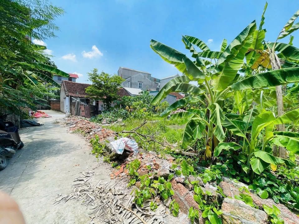 Đất nền Dân Hoà - Thanh Oai 80.5m² giá 300 triệu - Cơ hội đầu tư tốt!