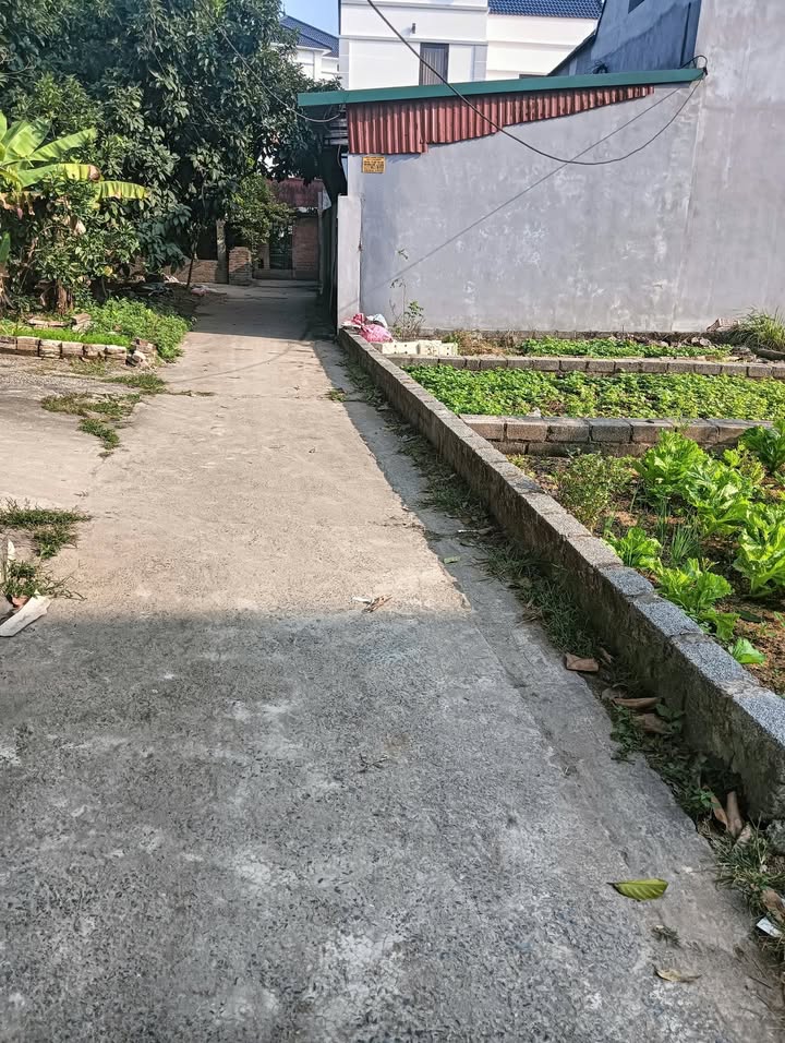 Đất nền thôn My Hạ, xã Thanh Mai, 45,2m² giá chỉ 2 tỷ - Đầu tư sinh lời ngay!