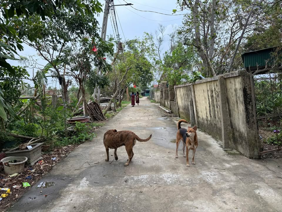 Đất nền Nghi Ân, Vinh 105,3m² giá 2,2 tỷ - Đầu tư sinh lời ngay!