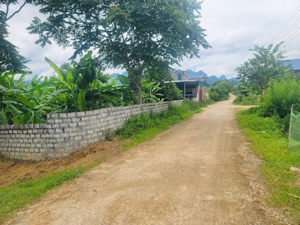 Đất nền xã Đú Sáng, huyện Kim Bôi 7615m² - Giá cực rẻ, sổ hồng chính chủ!