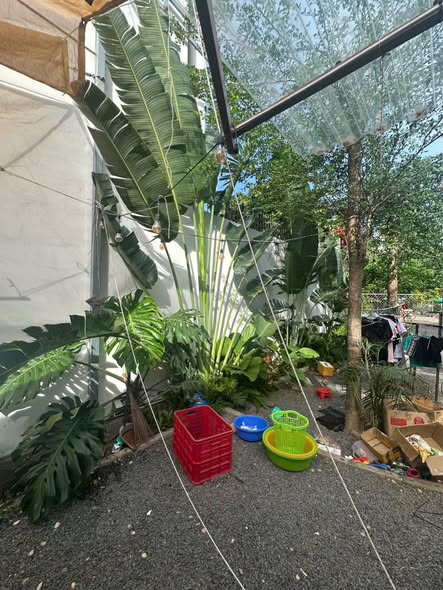 Quán cà phê cho thuê Đường Đào Tấn, Phan Thiết 300m² - Kinh doanh ngay!