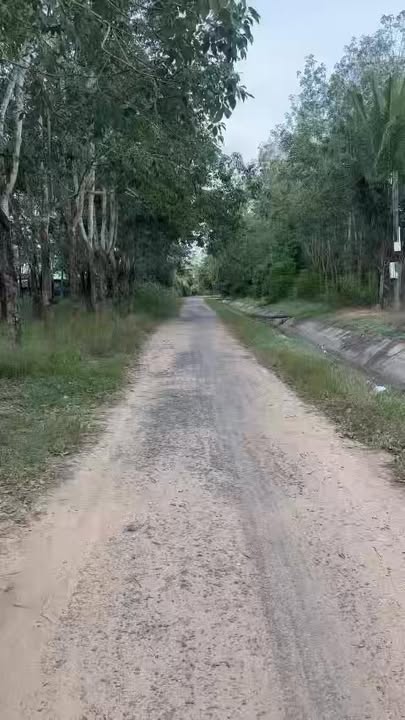 Đất Farm 50.000m² tại ấp 5, xã Trà Vong, Tân Biên - Giá tốt, đầu tư sinh lời!