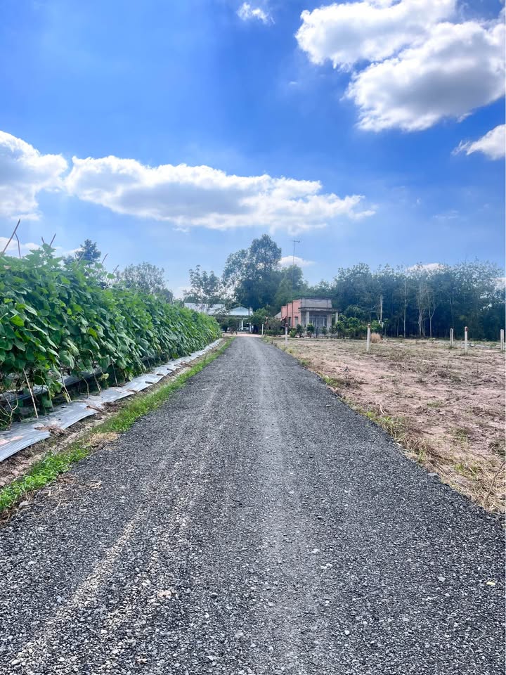 Đất thổ cư 654.5m² tại Ấp Rộc A, Gò Dầu, Tây Ninh chỉ 1.5 tỷ - Vị trí đắc địa gần KCN Hiệp Thạnh!