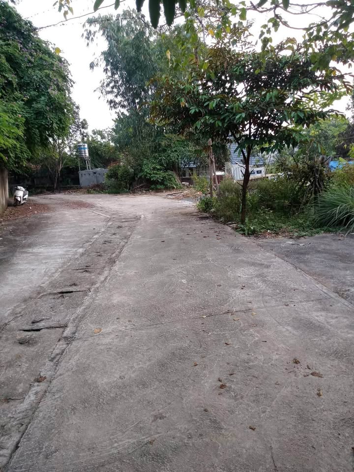 Đất nền Xuân Khanh Sơn Tây 80m² chỉ 1 tỷ - Lô góc đẹp, pháp lý rõ ràng!