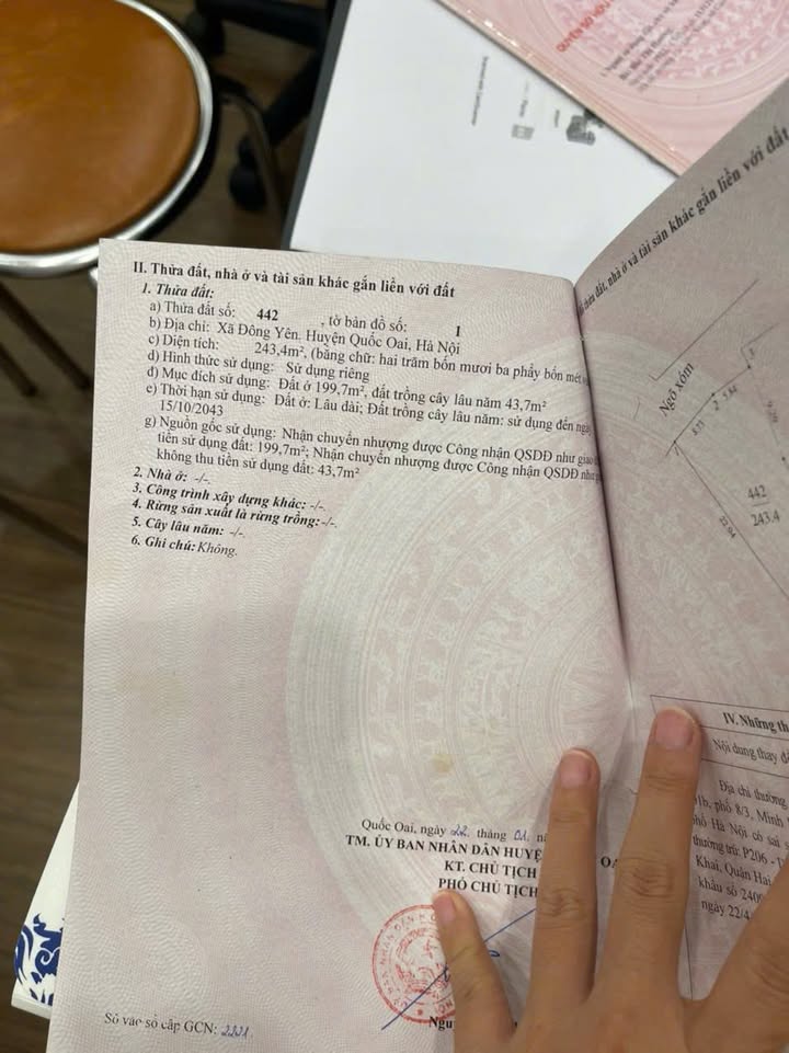 Bán lô đất tại xã Đông Yên, huyện Quốc Oai 243.4m² giá chỉ 5 tỷ - Đầu tư sinh lời ngay!