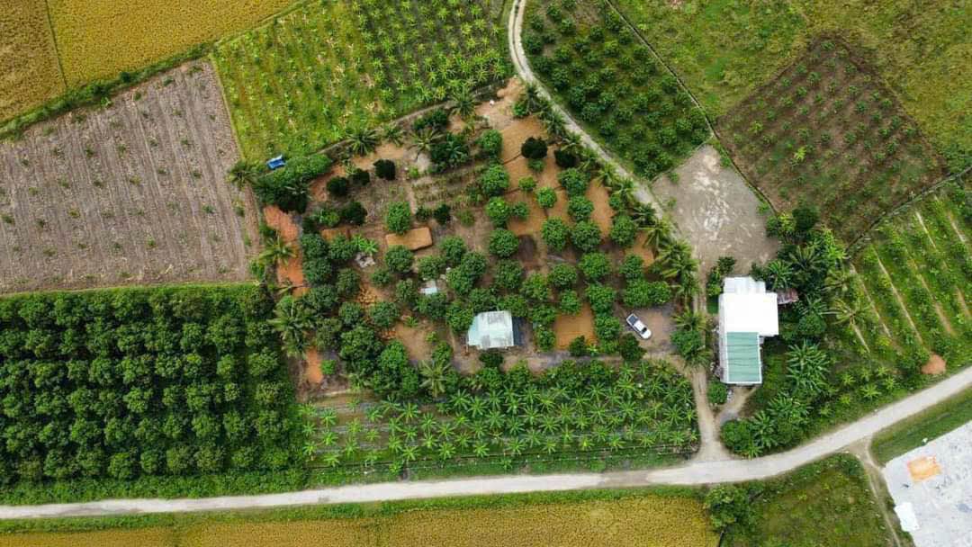 Đất vườn Suối Hiệp 4120m² giá 9.064 tỷ - Không gian xanh yên tĩnh lý tưởng!