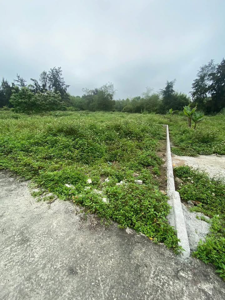 Đất nền Phúc Thọ Vinh 96m² giá 830 triệu - Đầu tư sinh lời ngay!