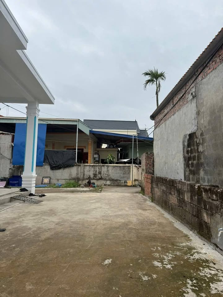 Đất nền Hoàng Động, Thủy Nguyên 61m² giá 870 triệu - Cơ hội đầu tư hấp dẫn!