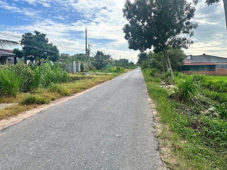 Đất nền ấp Cầu, Tân Phong, 980m² chỉ 910 triệu - Sổ đỏ chính chủ!