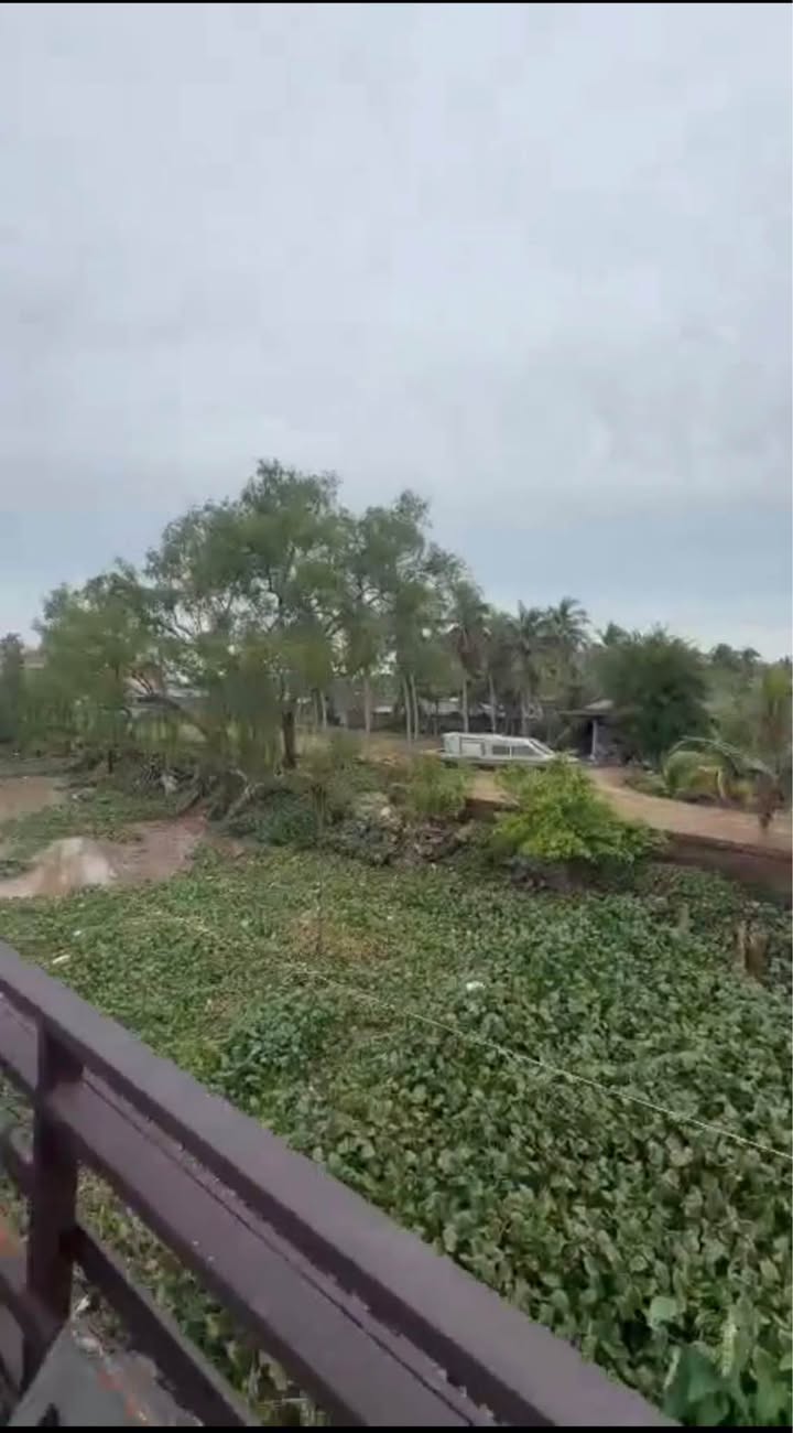 Đất mặt tiền sông Hàm Luông 2100m² giá 5.25 tỷ - Cơ hội đầu tư lý tưởng!