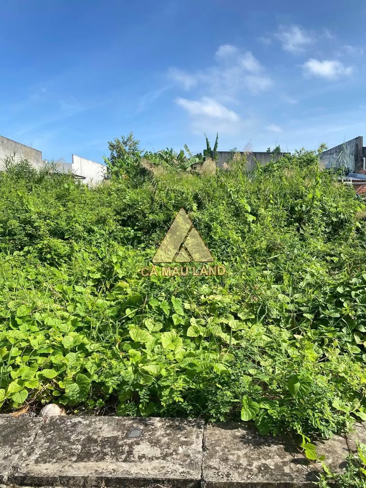 Đất nền đường Số 11, phường Tân Xuyên, 90m² giá 800 triệu - Sổ hồng chính chủ!