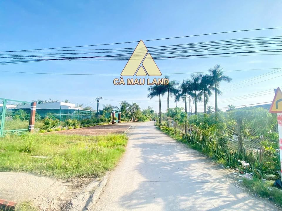Đất nền chính chủ Phường Lý Văn Lâm, Cà Mau 420m² giá 870 triệu - Sổ hồng riêng sang tên ngay!