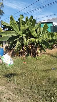 Đất nền An Tịnh Trảng Bàng 520m² giá 2.5 tỷ - Mặt tiền đường Hương lộ 2