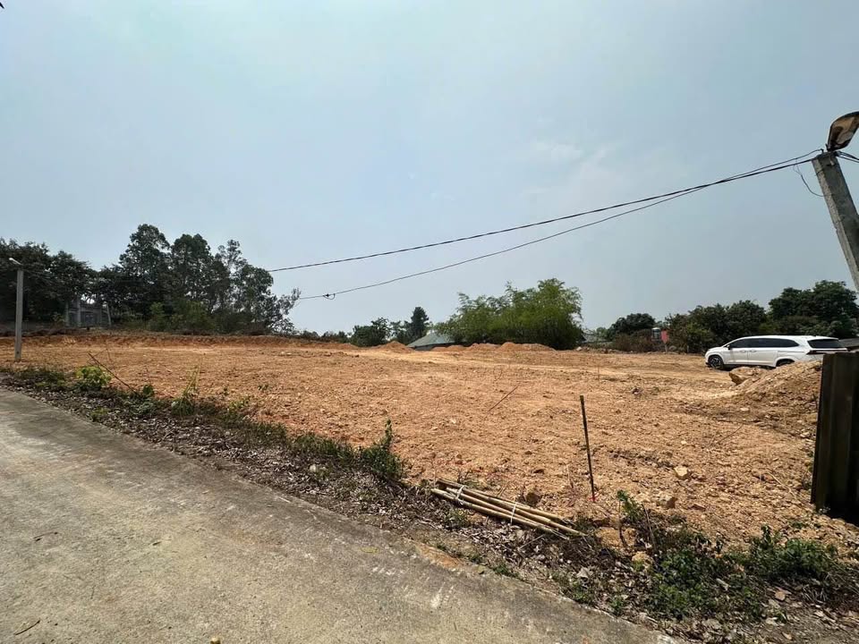 Đất thổ cư Hướng Đạo, Tam Dương 3200m² giá 4.8 tỷ - Cơ hội đầu tư hấp dẫn!