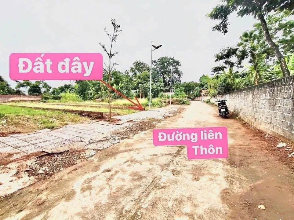 Đất thổ cư xã Đồng Tĩnh 164m² giá 700 triệu - Sổ hồng chính chủ, mặt tiền đường lớn!