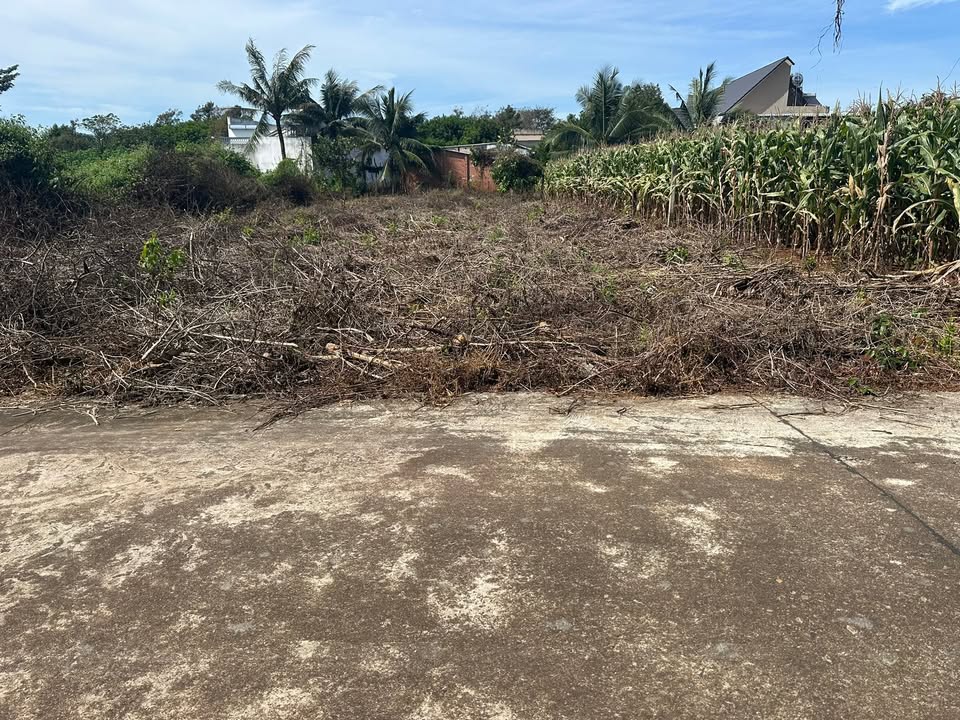 Đất nền Nghĩa Thành, Châu Đức 512m² giá 1.85 tỷ - Cơ hội đầu tư lý tưởng!